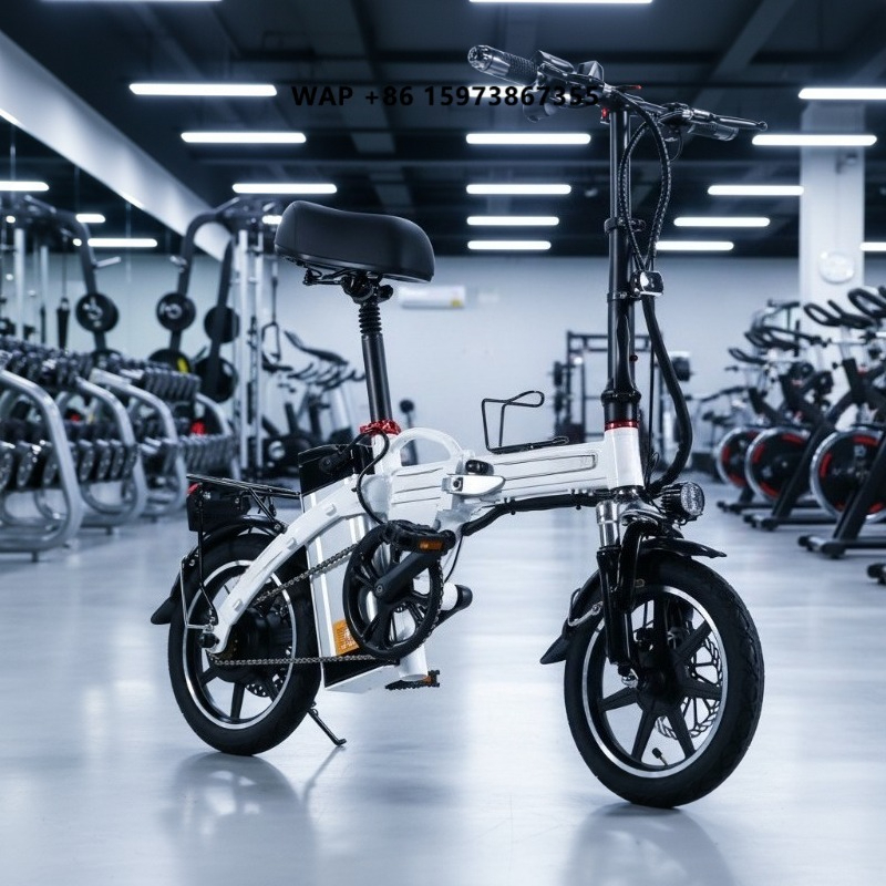 Mini Folding Electric Bike Fac - đánh giá và giá Commuter Biking