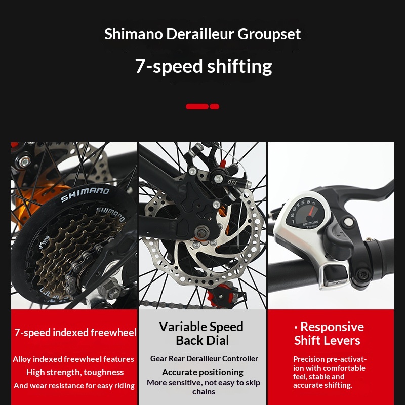Folding Bike 20 Inch Aluminum  - đánh giá và giá Commuter Biking